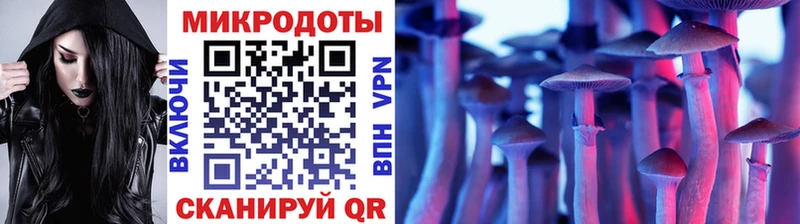 купить закладку  Шелехов  Псилоцибиновые грибы мухоморы 